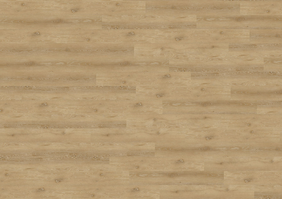 Trondheim Oak Brown DB817WL