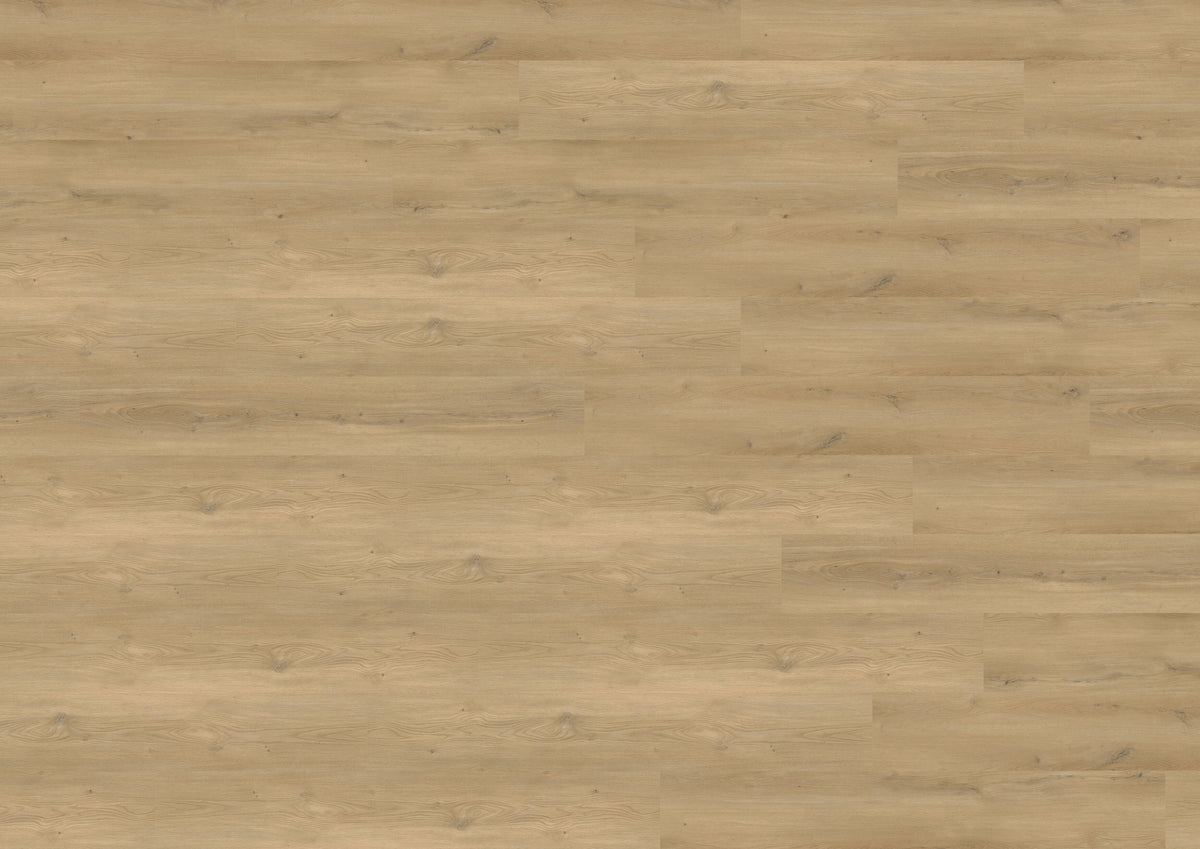 Stavanger Oak Nature DB833WXL