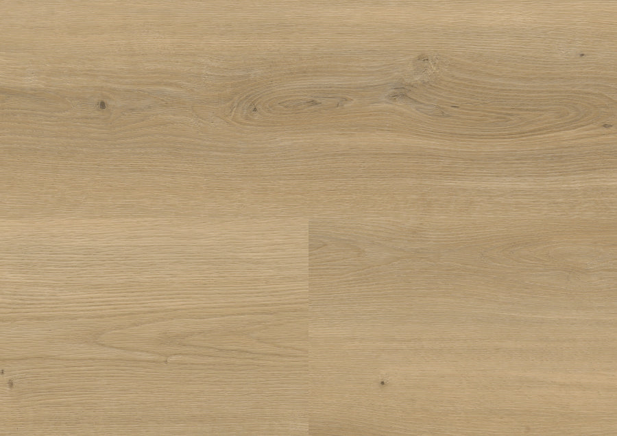 Stavanger Oak Nature DB833WXL