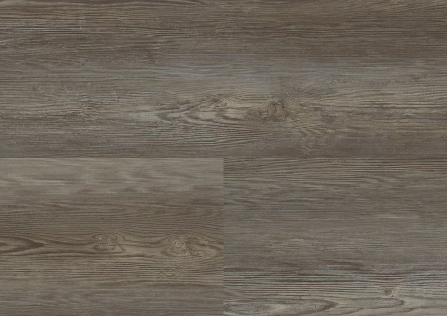 Catania Pine Grey DB841WXL