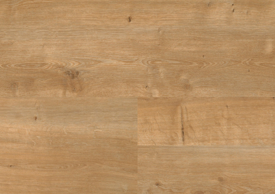 Canyon Oak Honey PL15200WXL