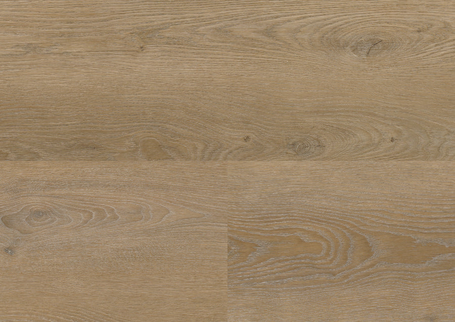 Palermo Oak Brown DB837WXL
