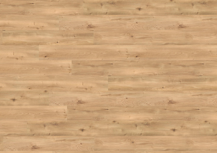 Intensive Oak Amber PL15206WXL