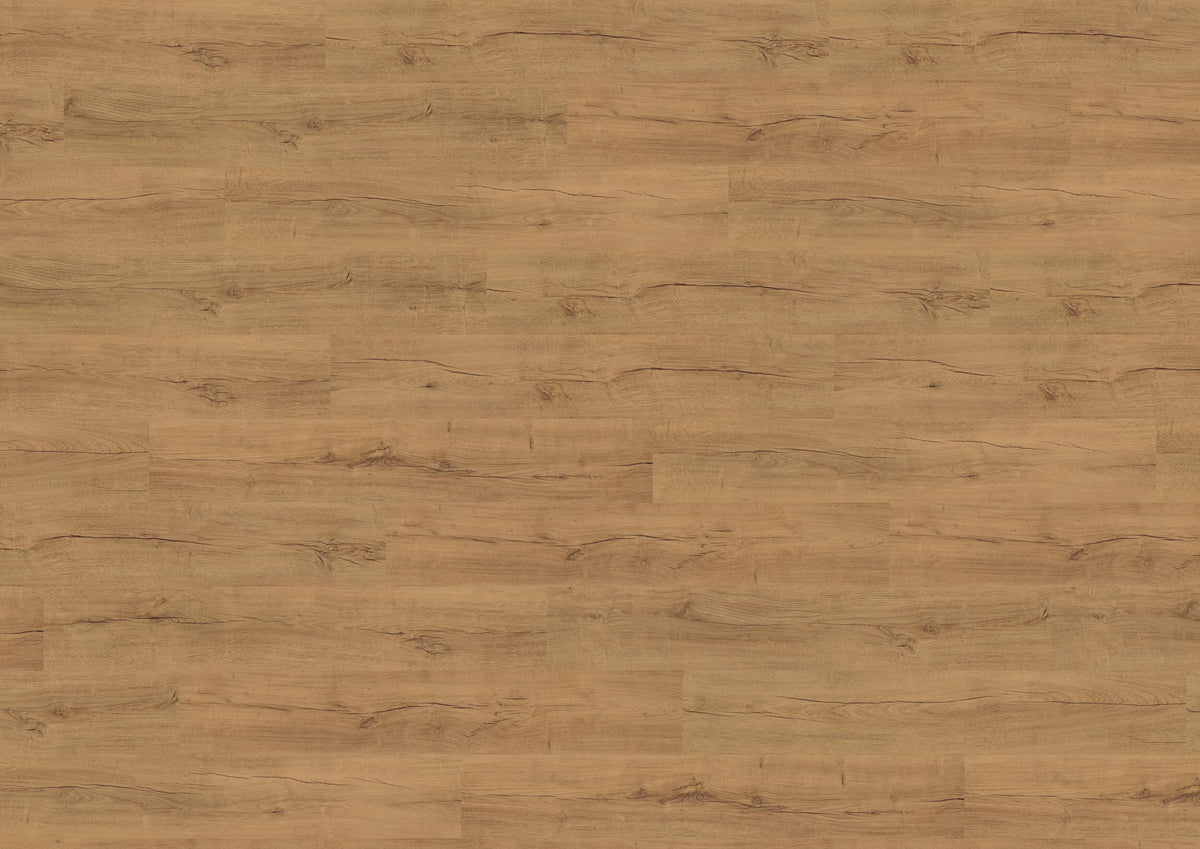 Real Oak Amber PL15216WXL
