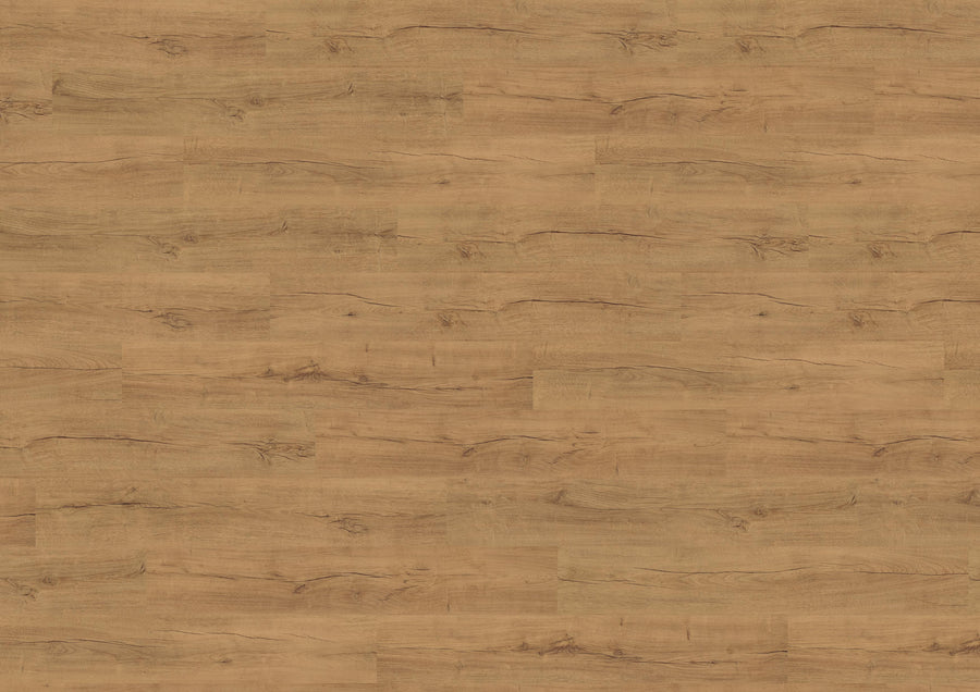 Real Oak Amber PL15216WXL