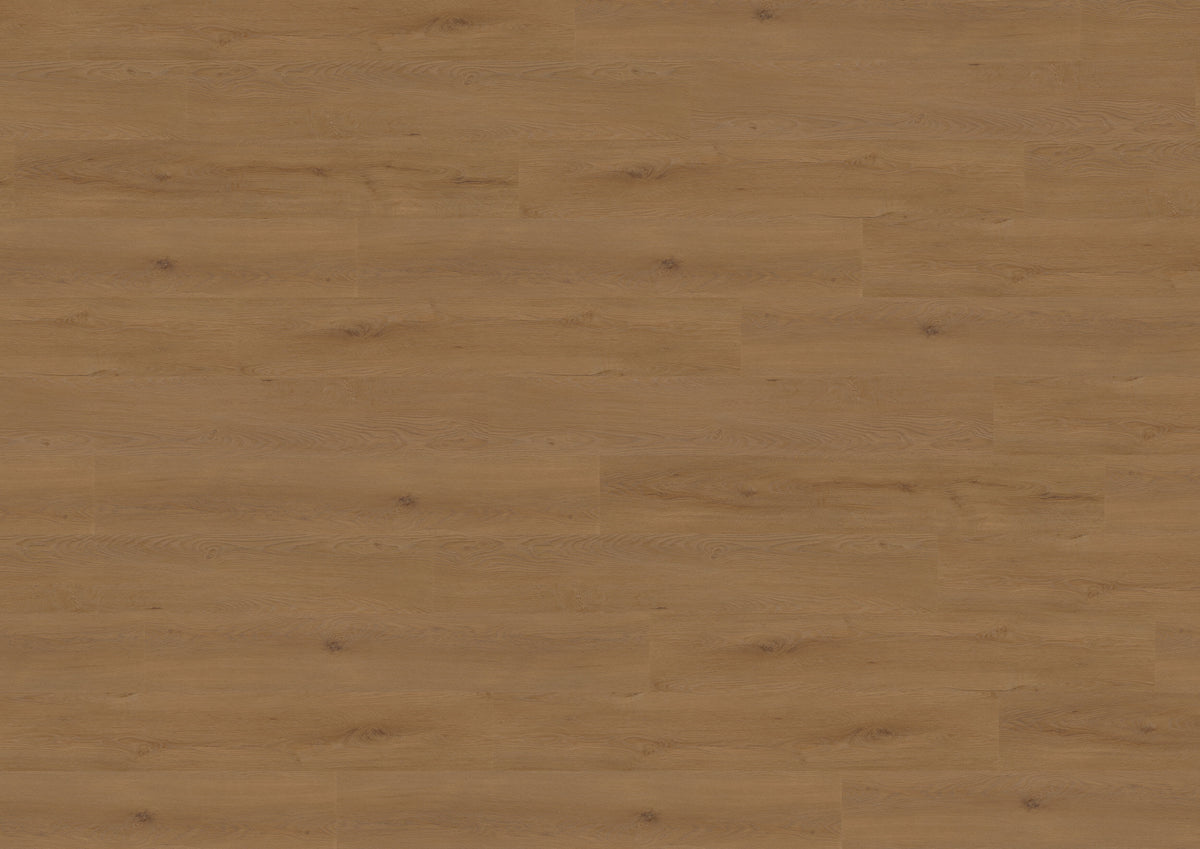 Dublin Oak Brown MLD838WXL