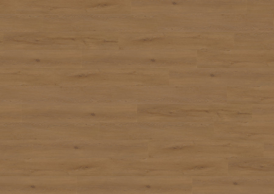 Dublin Oak Brown MLD838WXL