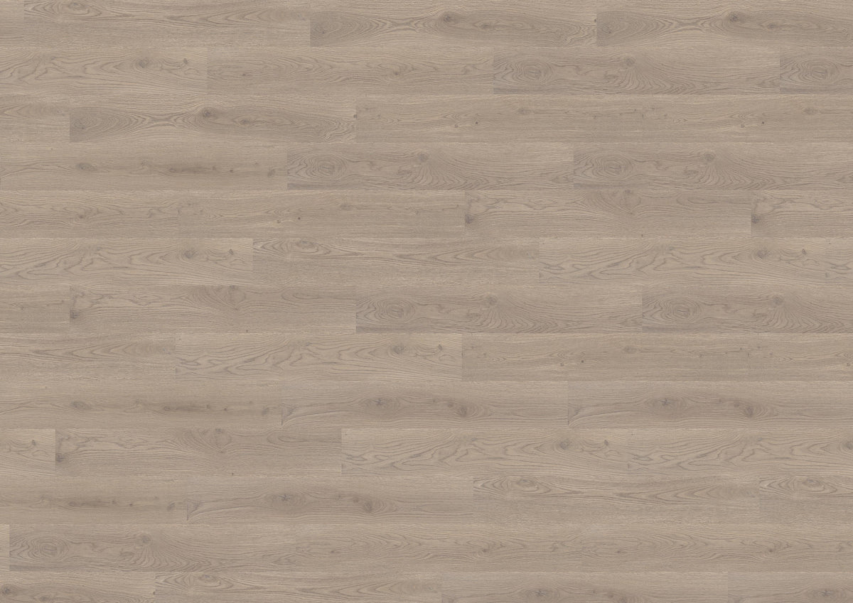 Durban Oak Taupe PL15003WL