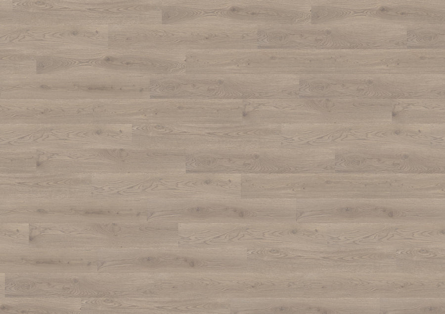 Durban Oak Taupe PL15003WL
