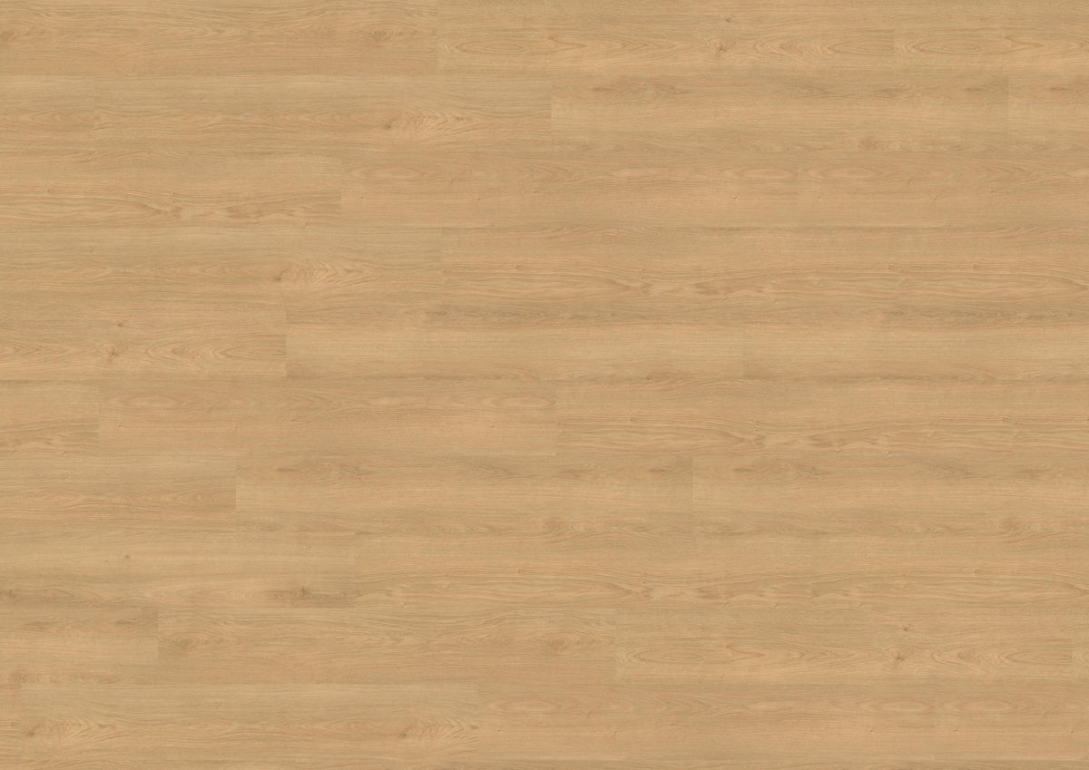 Siena Oak Honey PL15221WXL