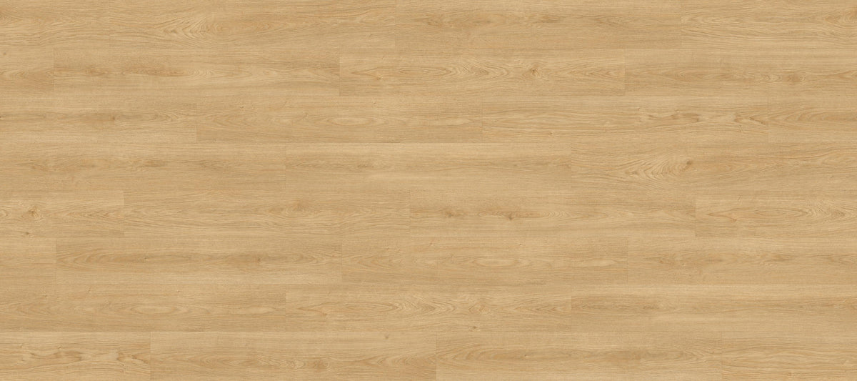 Siena Oak Honey PLR15221W