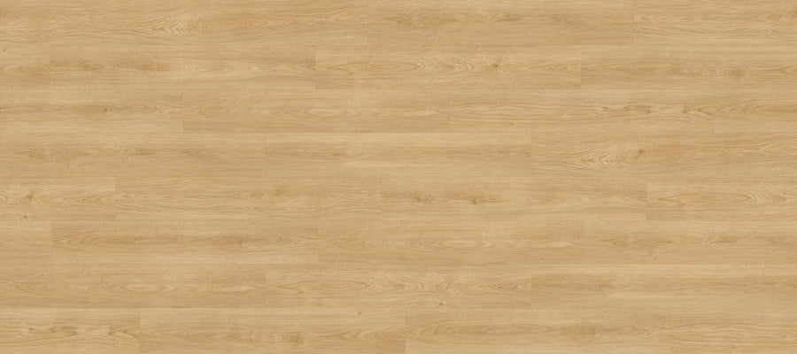 Siena Oak Honey PLR15221W