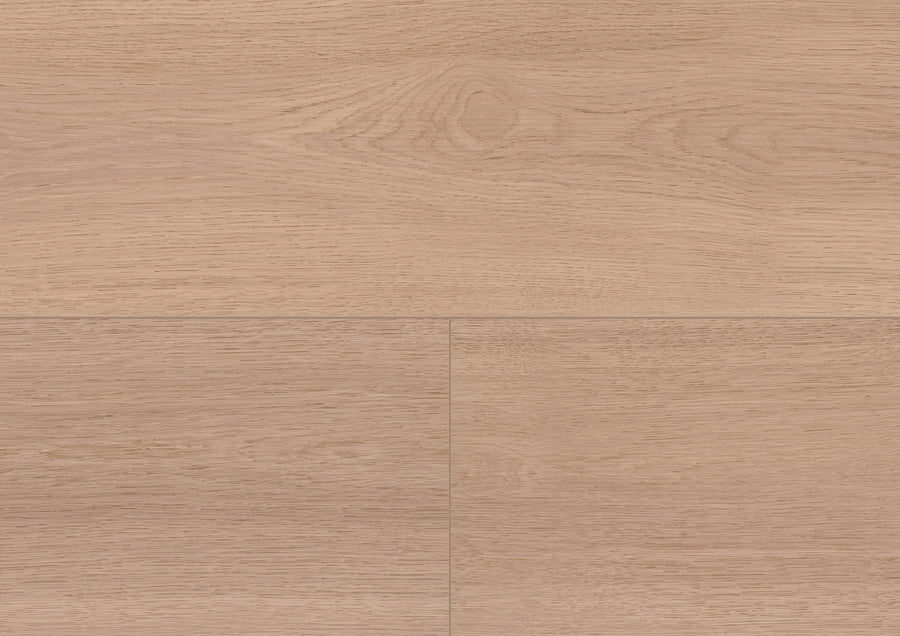 Calm Oak Shell PL306R