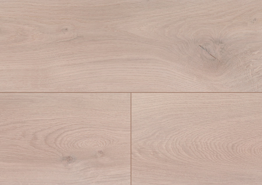 Noble Oak Powder PL309R