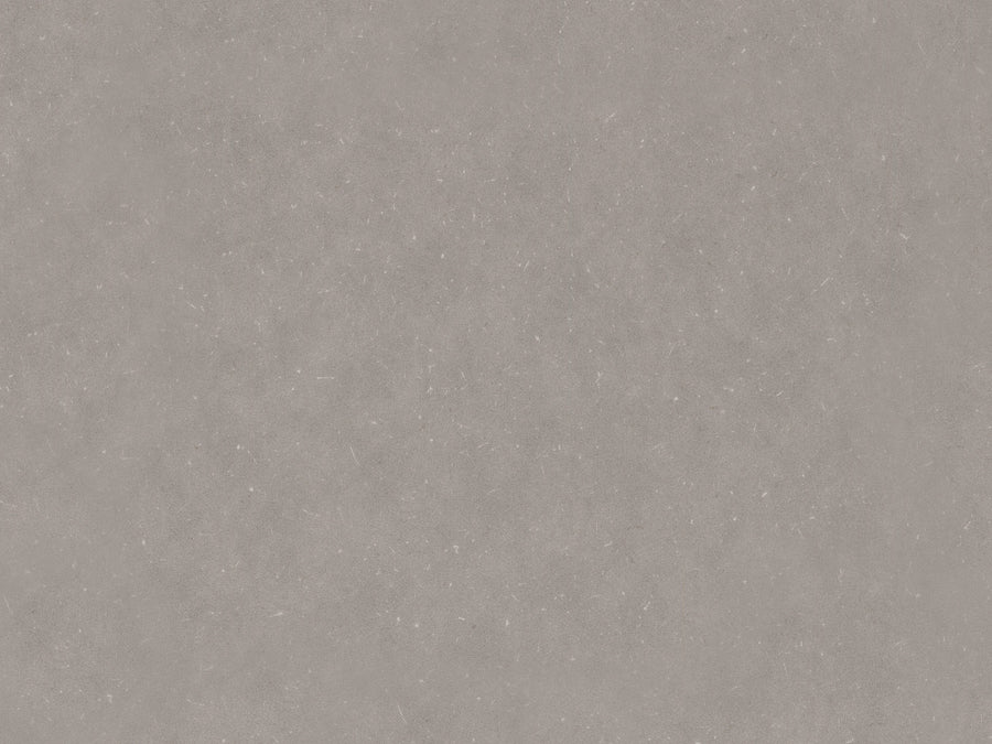 Silver Grey PLR022C
