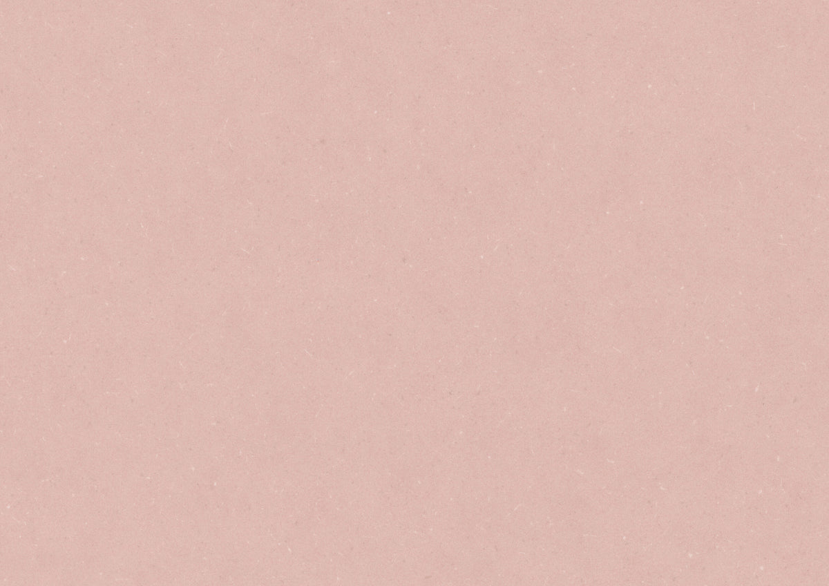 Powder Rose PLR374C