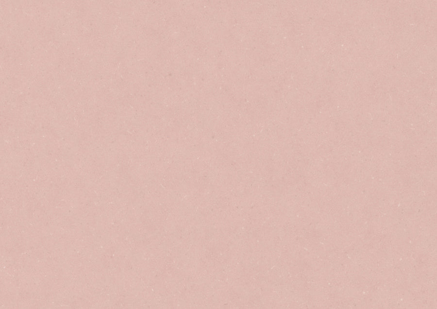 Powder Rose PLR374C
