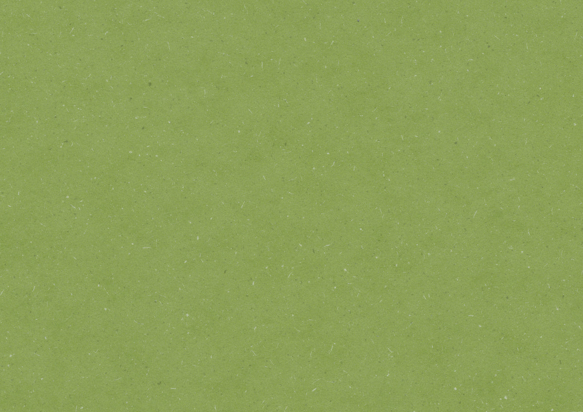 Aloe Green PLR380C