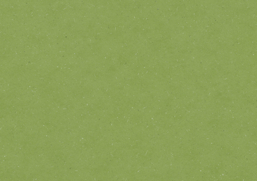 Aloe Green PLR380C