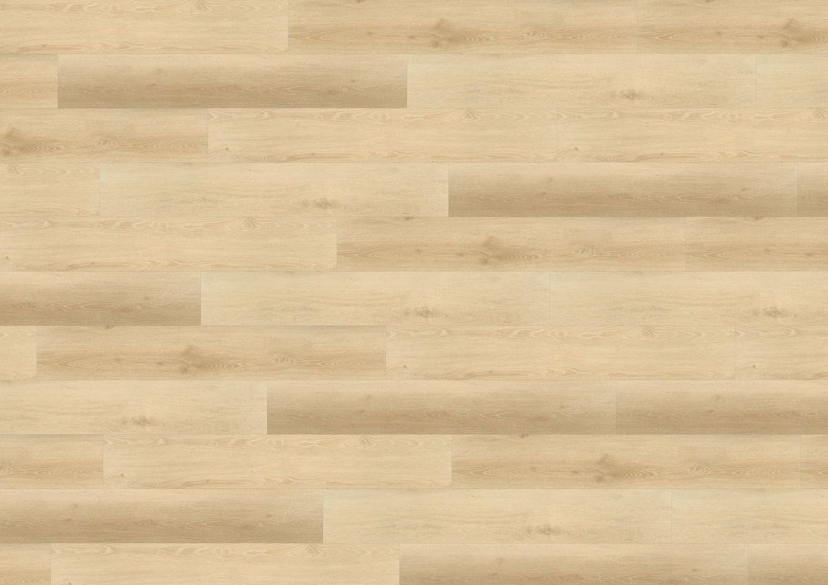 Barcelona Loft DB191W6