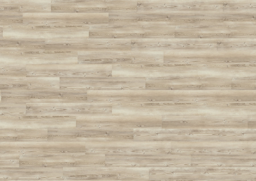 Coast Pine Greige MLD280WL