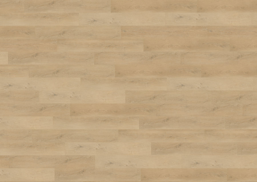 Plain Oak Beige RLC281WL
