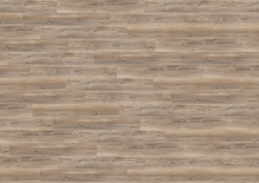 Coast Pine Taupe MLD284WL