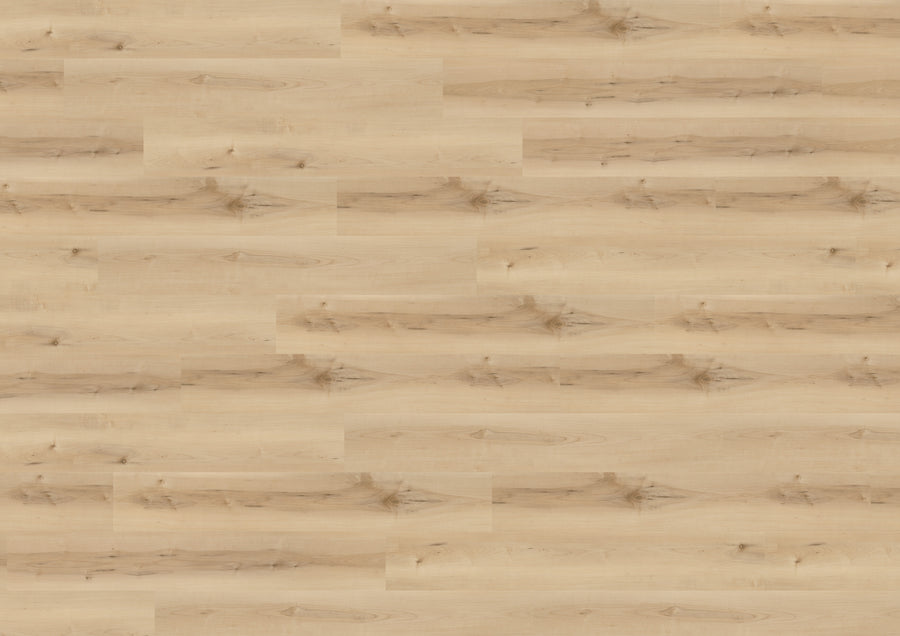 Nordic Maple Cream DB289WXL