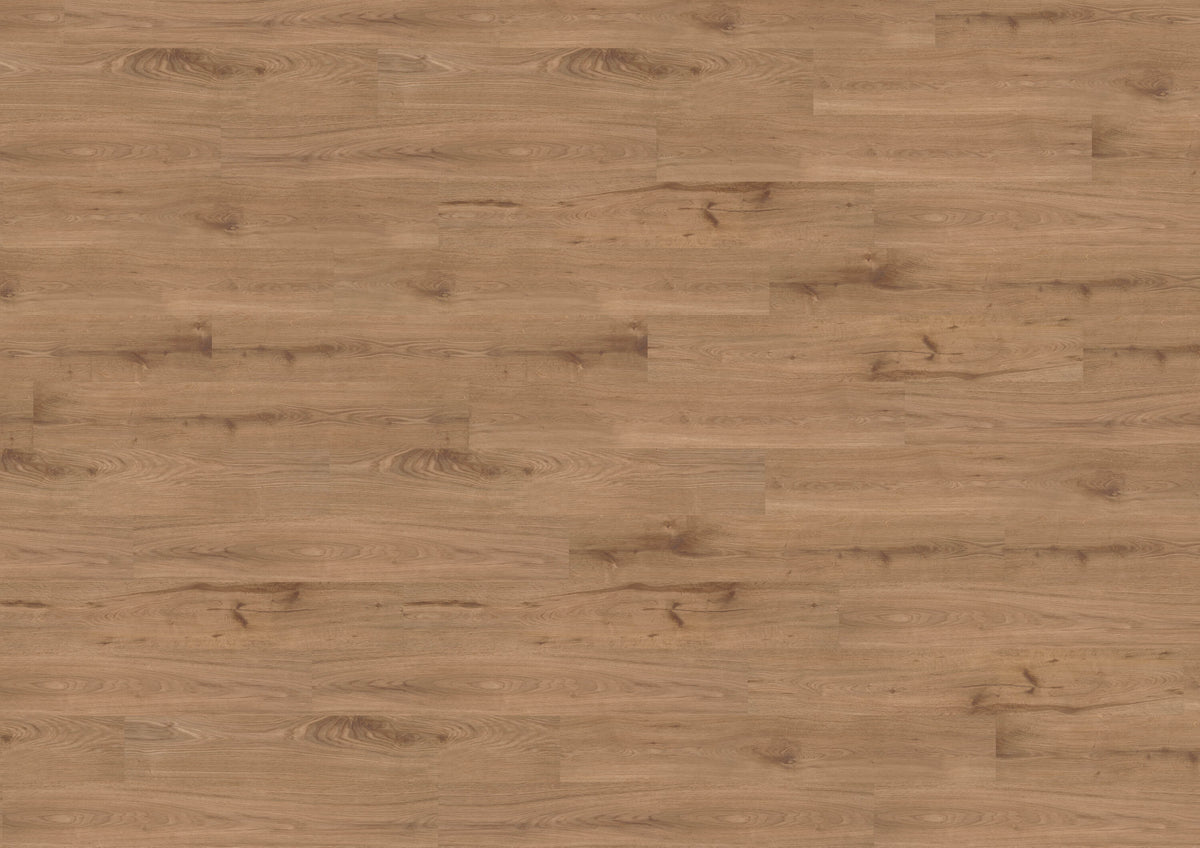 Strong Oak Cinnamon PL301R