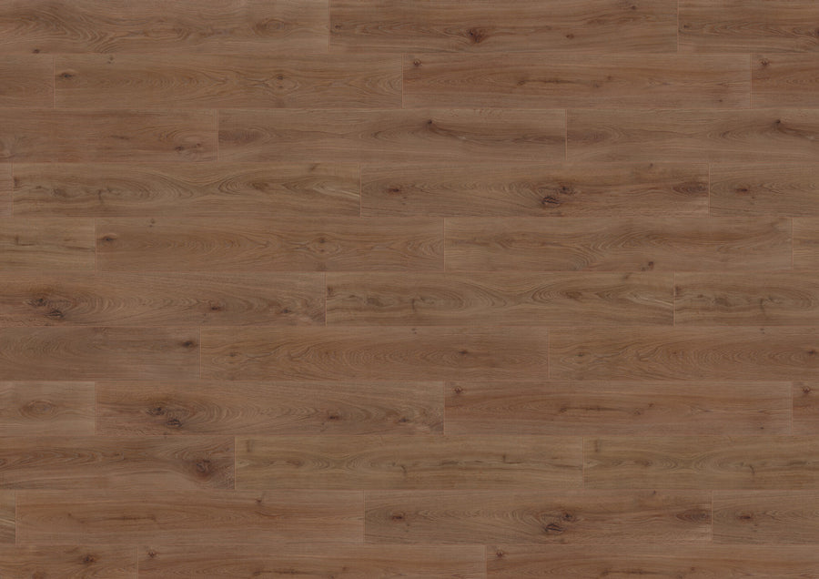 Noble Oak Chocolate PLC312R