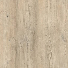Project Floors SO 3021 – Dekor-Sockelleiste passend zu PW 3021, 60 x 12,6 mm