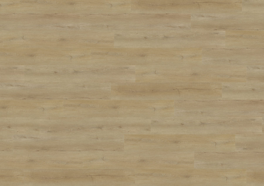Narvik Oak Nature DB836WXL