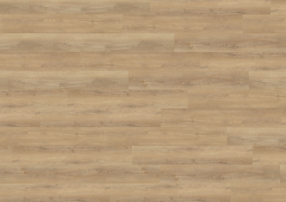 Dalen Oak Nature DB834WXL
