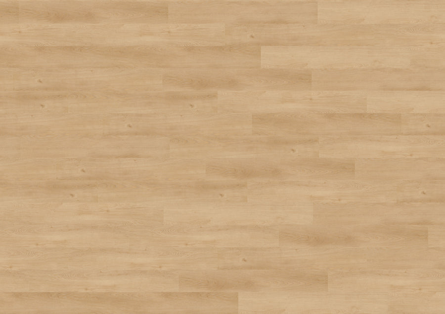 Merano Oak Nature DB818WL
