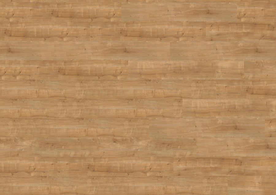 Canyon Oak Honey PL15200WXL