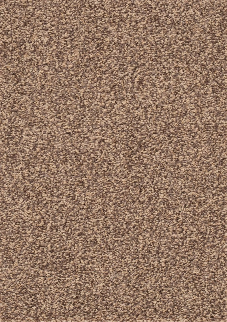 Derby Farbe 43
