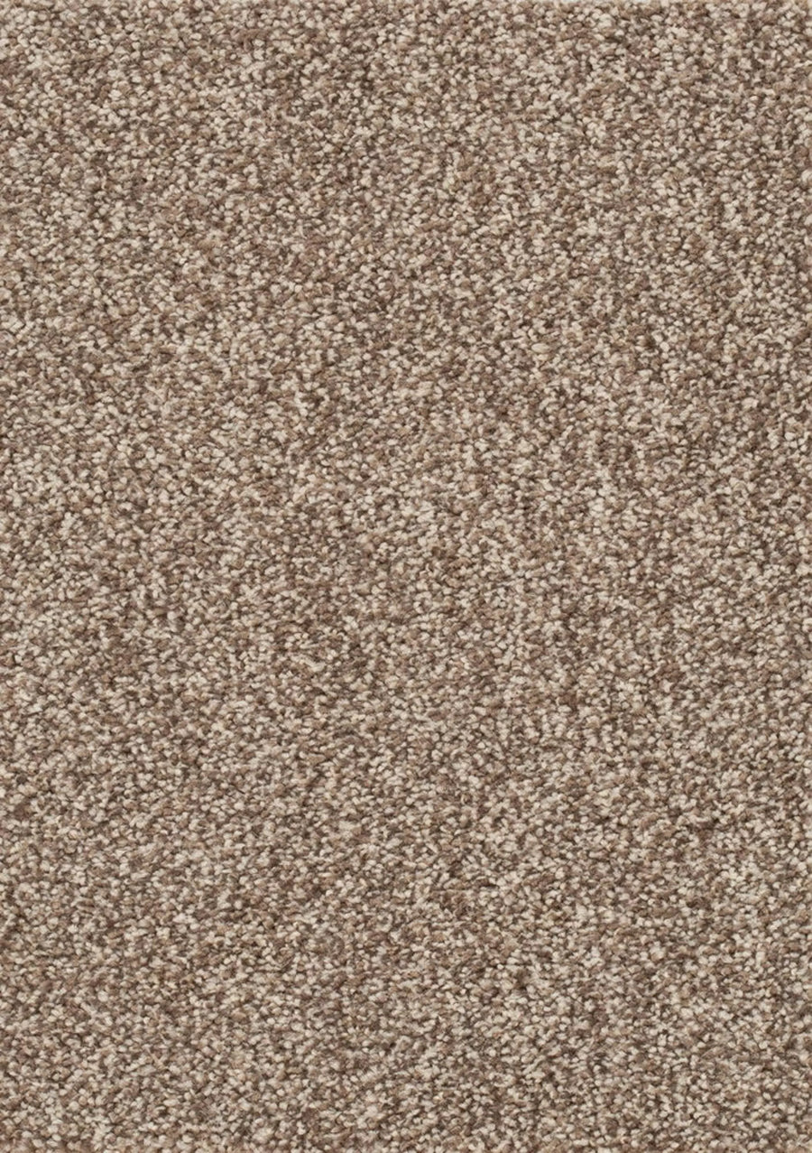 Derby Farbe 38