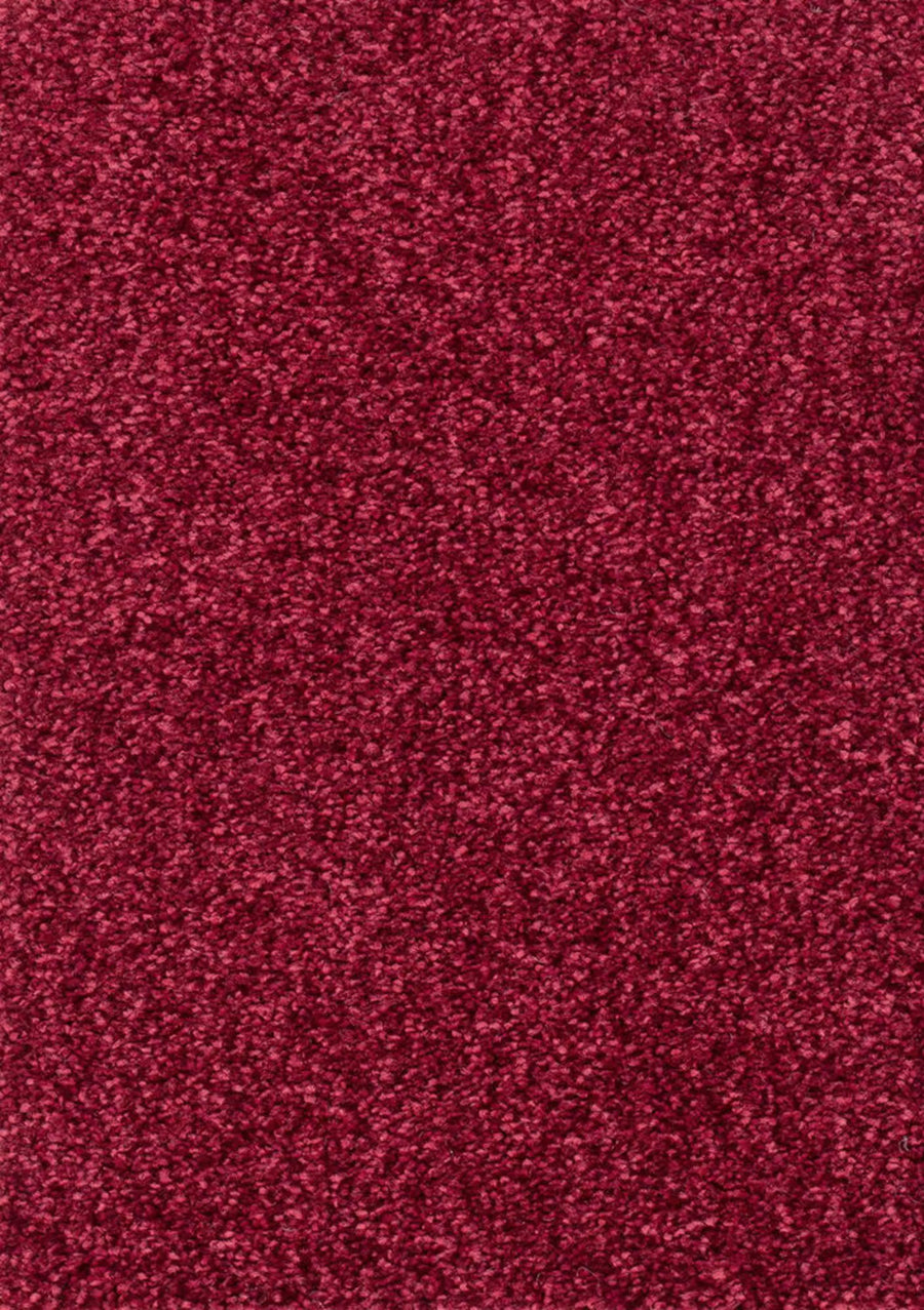 Derby Farbe 15