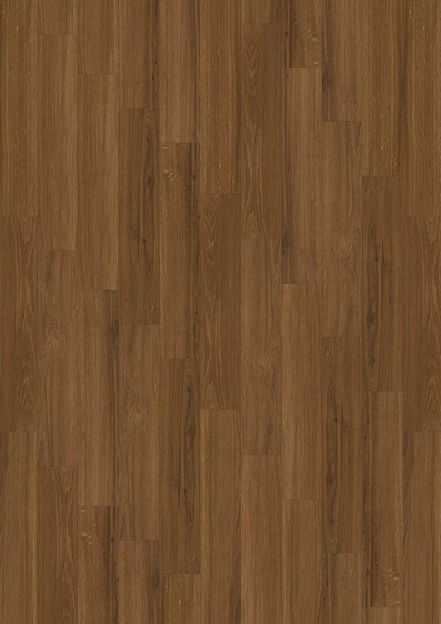 Cycle 555 5382 Incredible Dark Oak