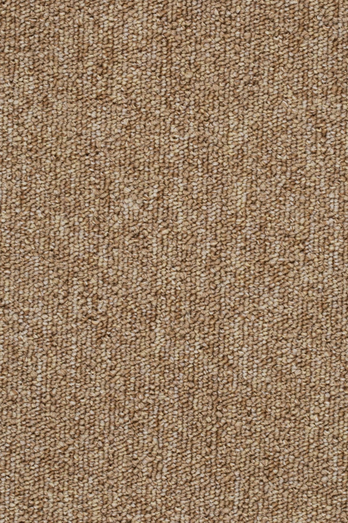 Limbo Farbe 70