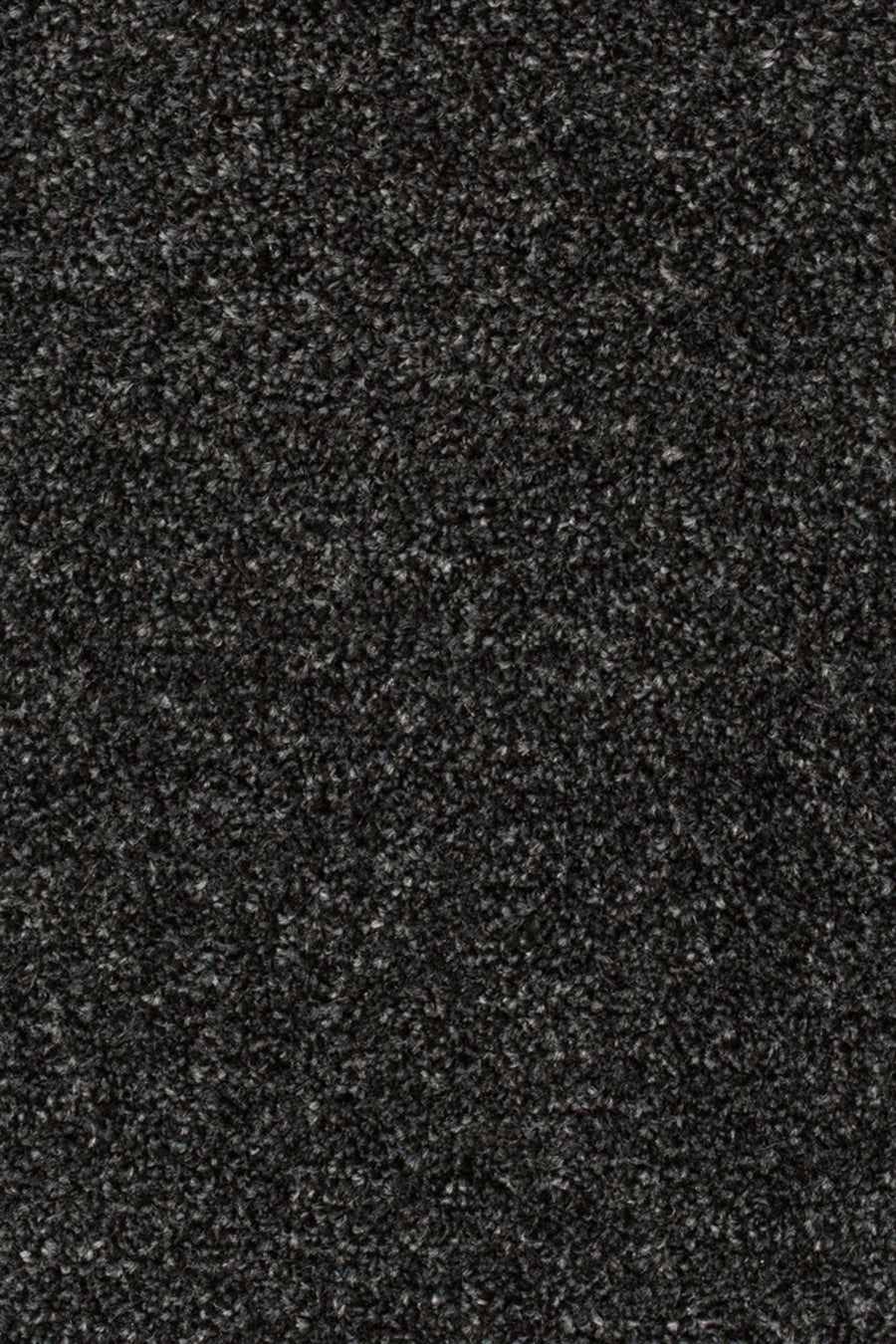 Lagos Farbe 77