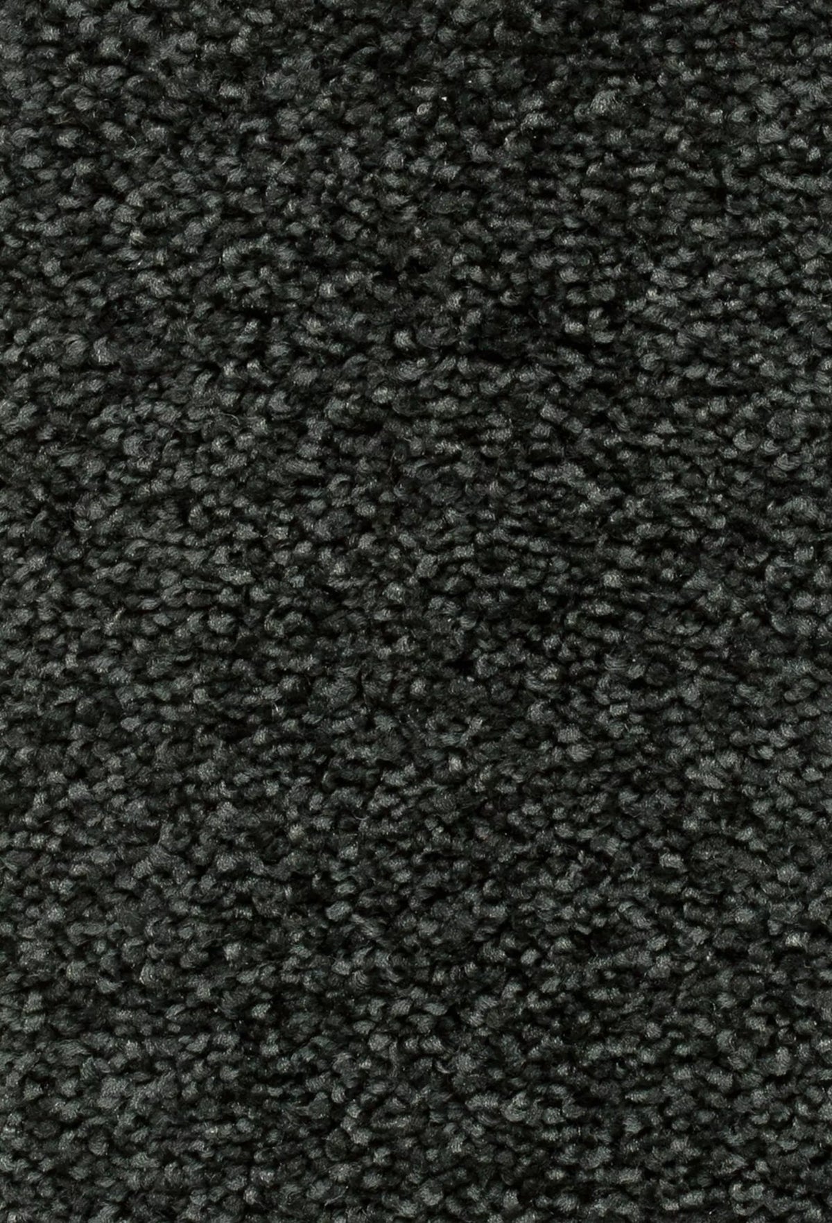 Damos Farbe 79
