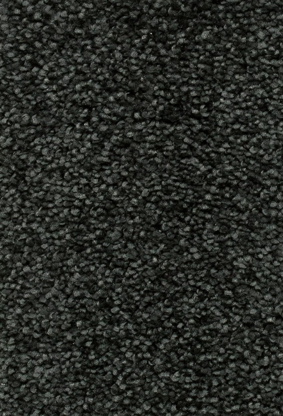 Damos Farbe 79