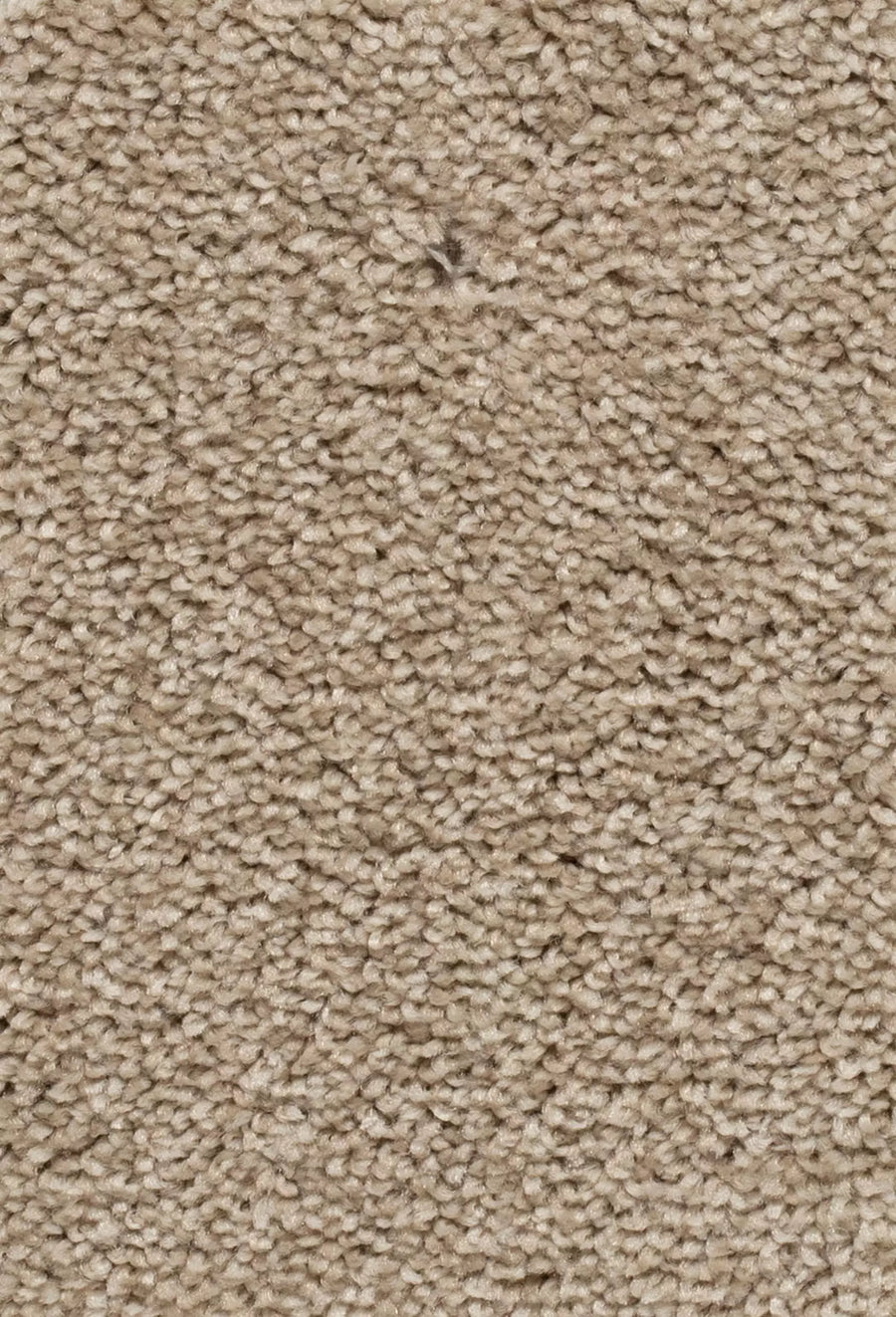 Damos Farbe 62