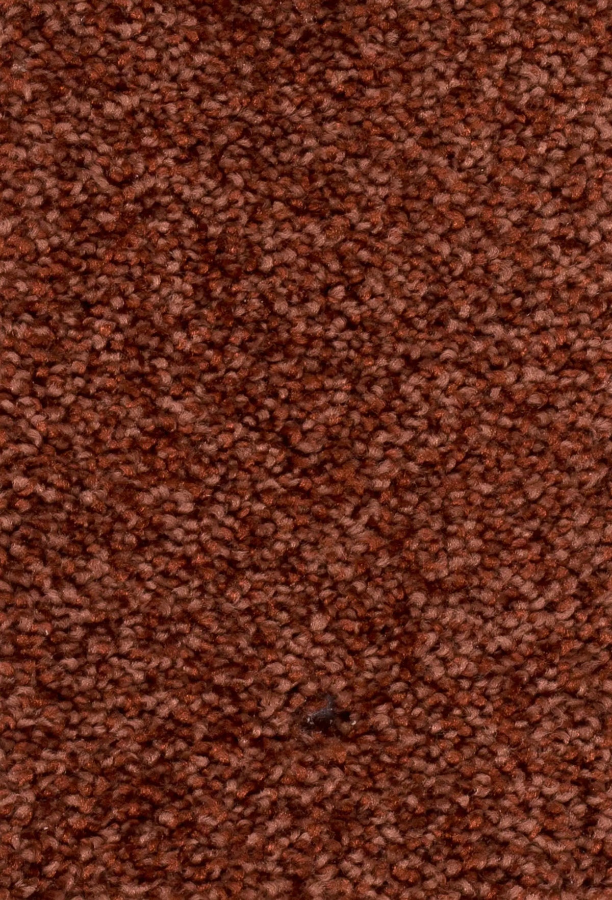 Damos Farbe 35