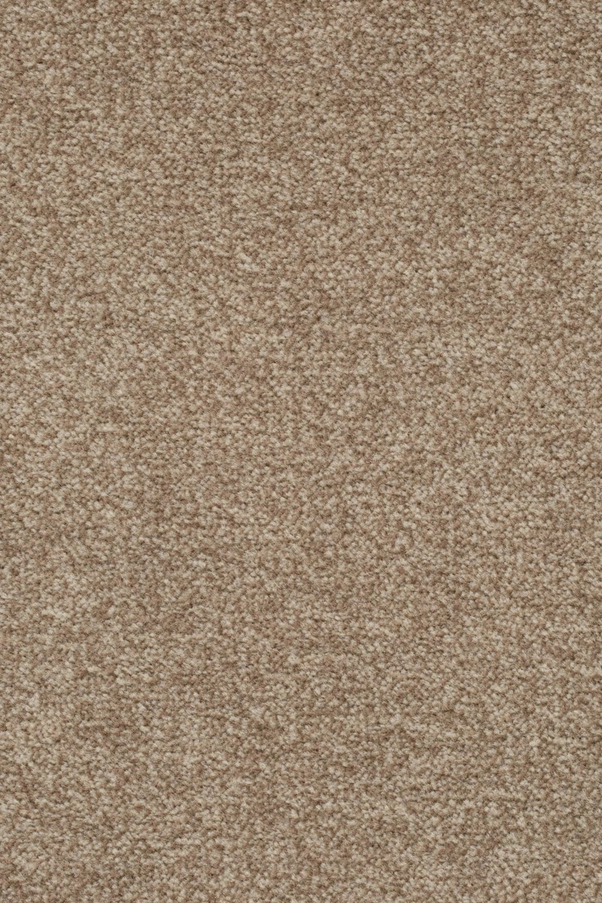 Astro Farbe 262
