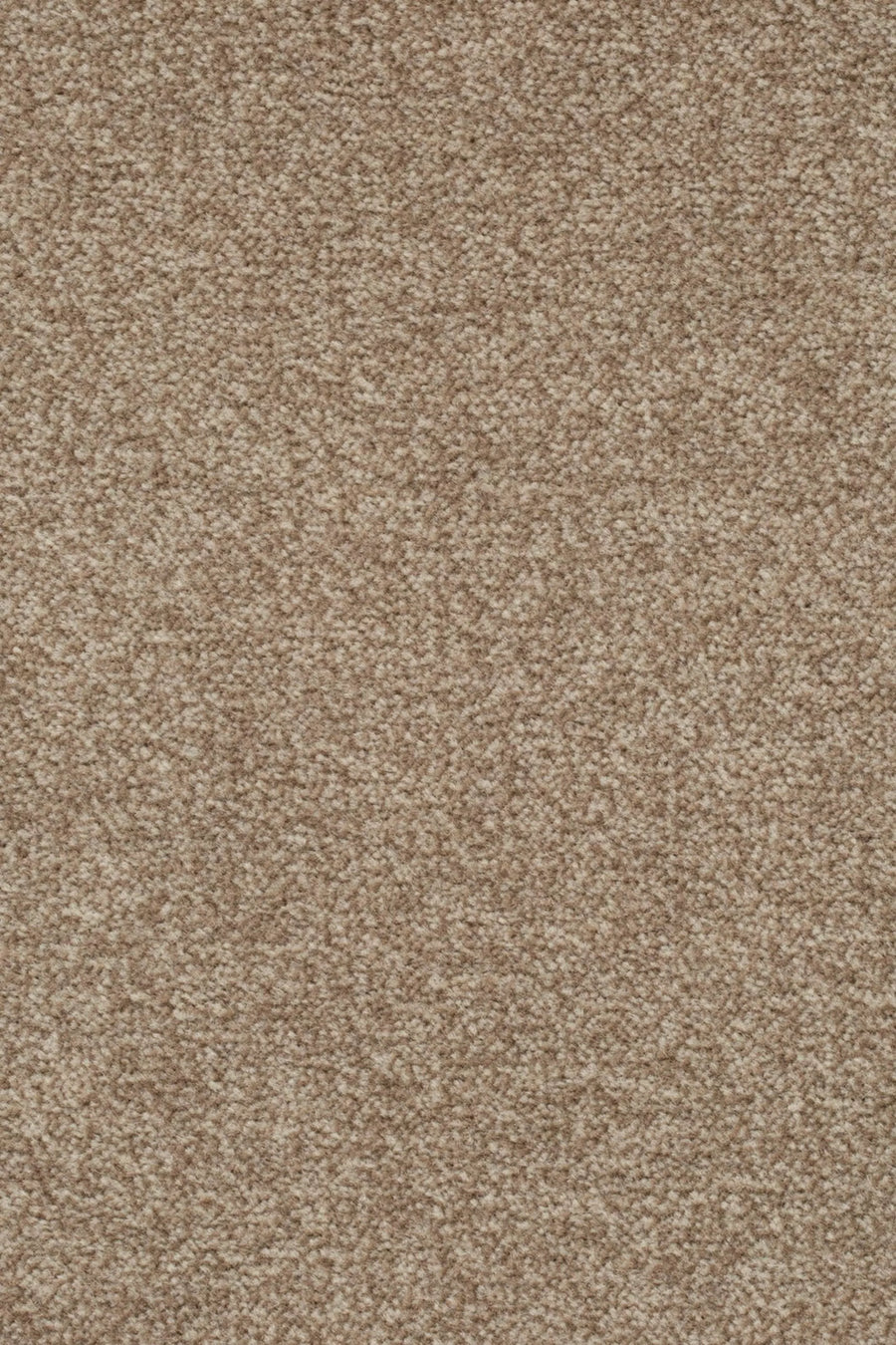 Astro Farbe 262