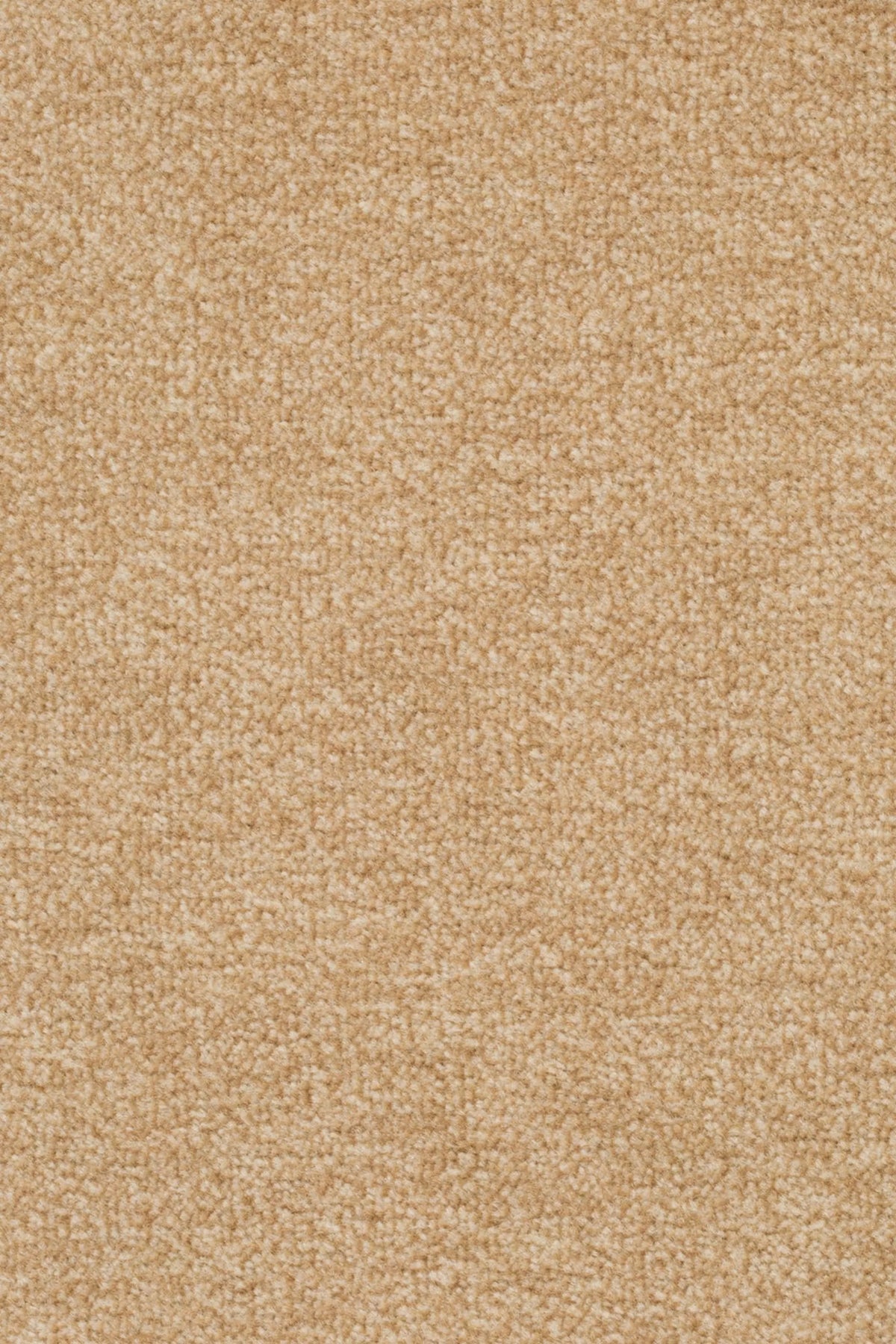 Astro Farbe 231