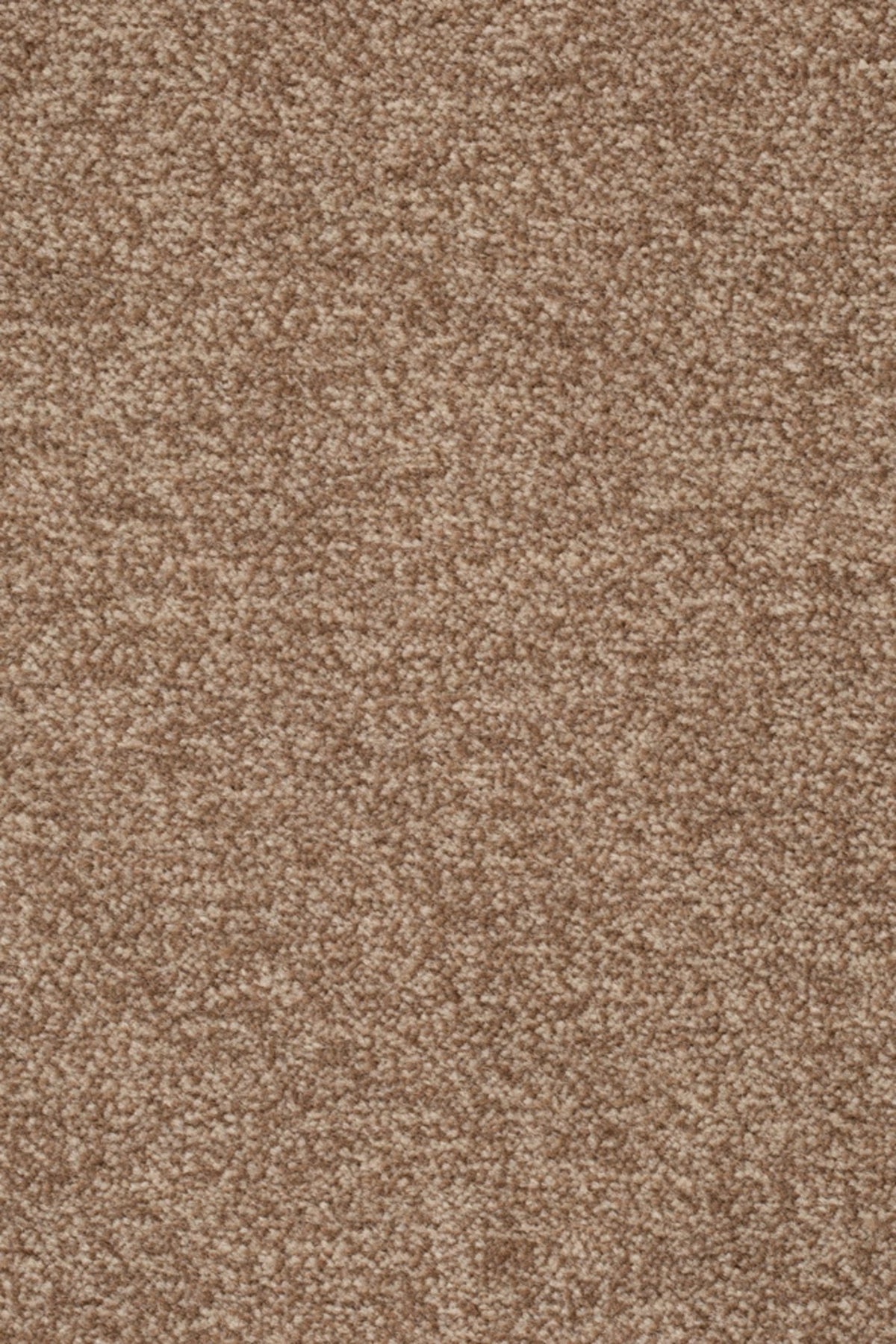 Astro Farbe 221