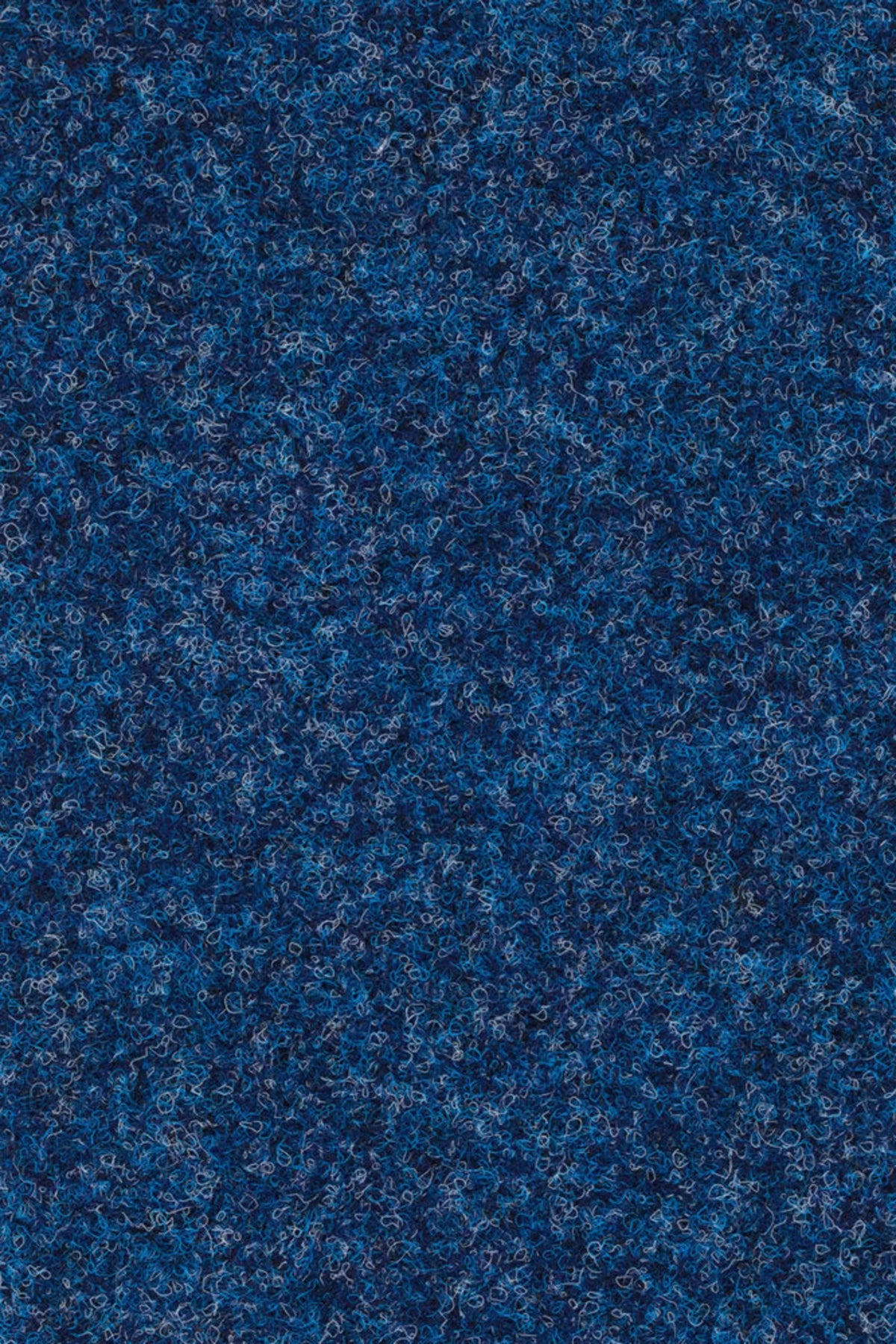 Forte Farbe 7202